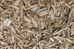 biomass boilers Lidgett